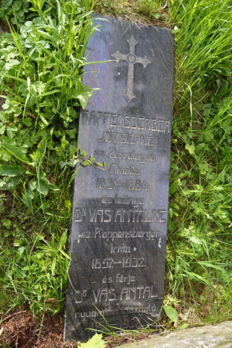 Master file0000078160