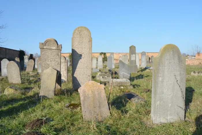 Master file0000070983