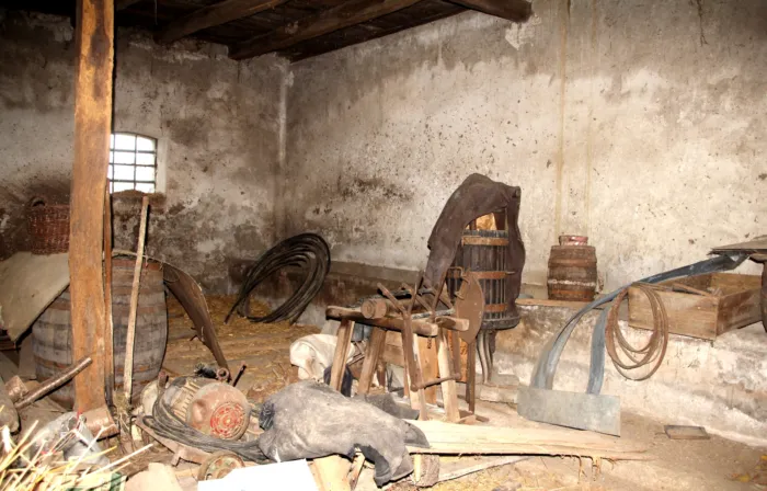 Master file0000067244