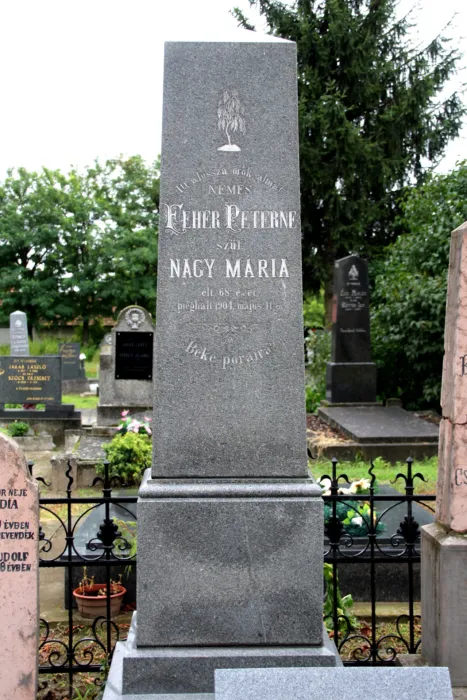 Master file0000072429