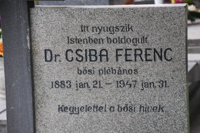 Master file0000076994