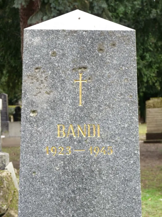 Master file0000072099