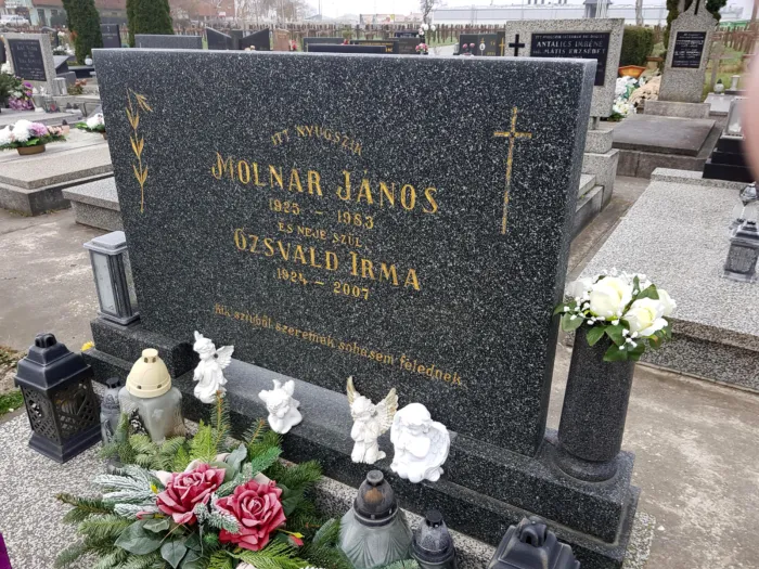 Master file0000070920