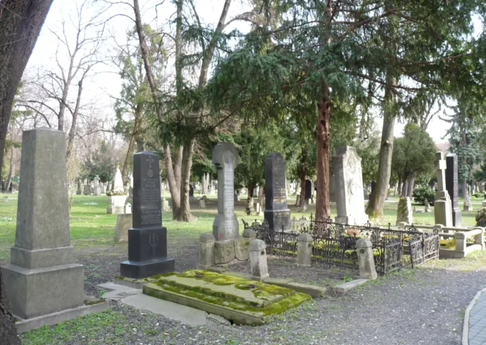 Master file0000078859