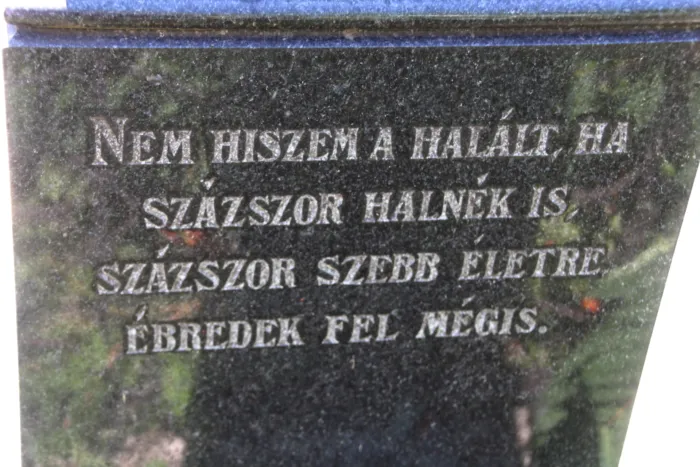 Master file0000073781