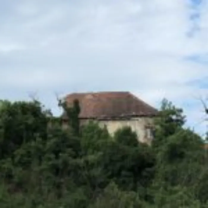 Master file0000039058