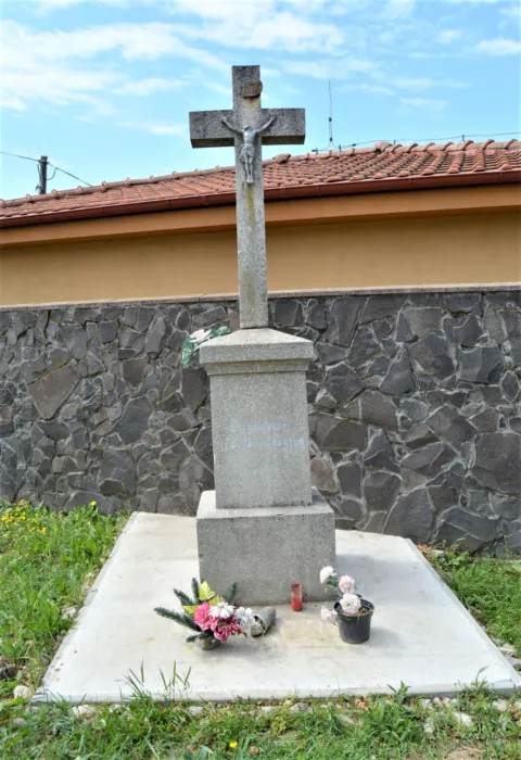 Master file0000070133