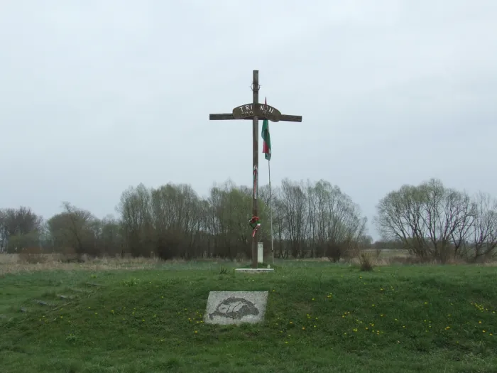 Master file0000064209