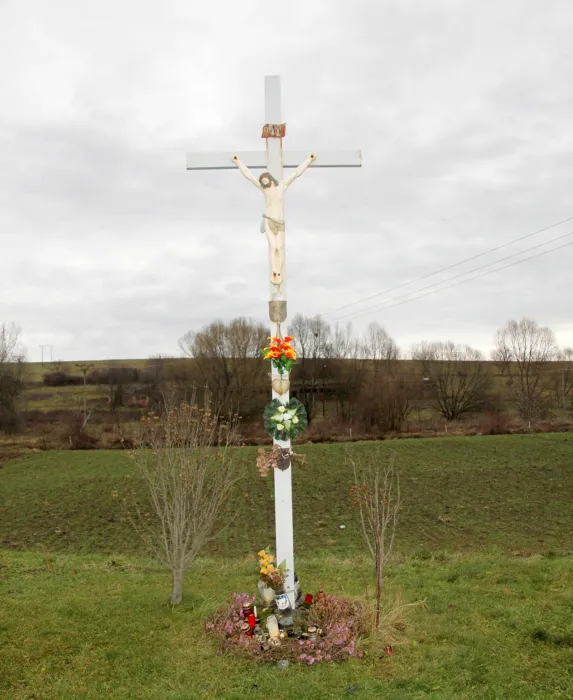 Master file0000078618