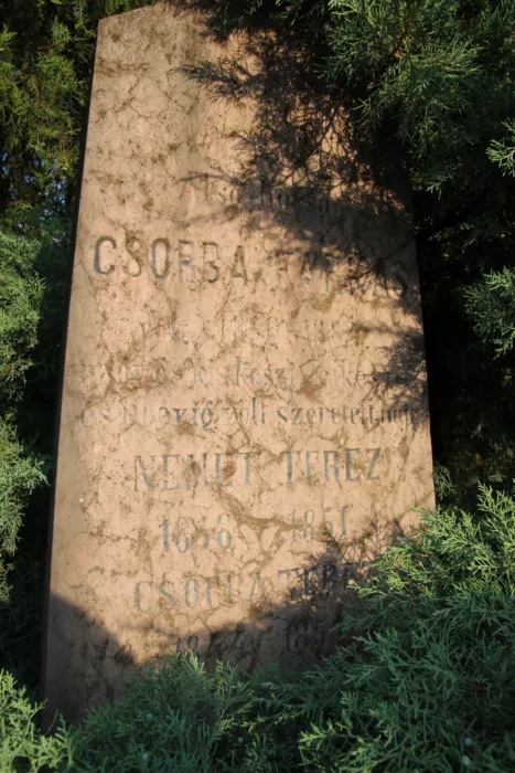 Master file0000079217