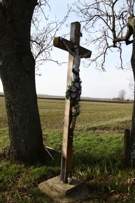 Master file0000074397