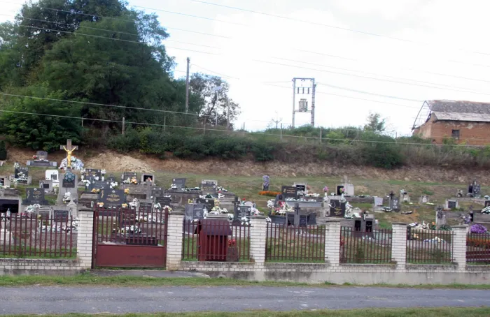 Master file0000077632