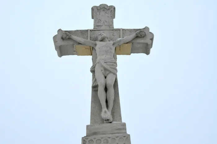 Master file0000076072