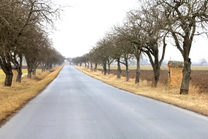 Master file0000067360