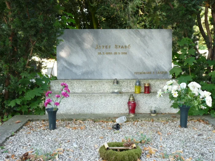 Master file0000058985