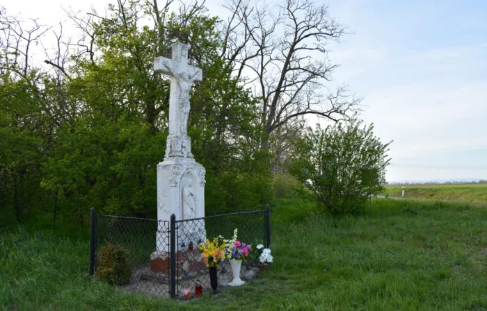 Master file0000080266