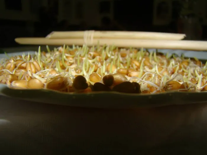 Master file0000039968