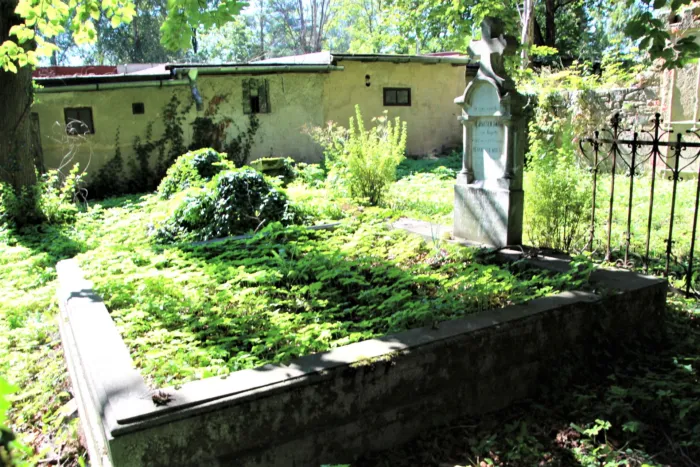 Master file0000070148