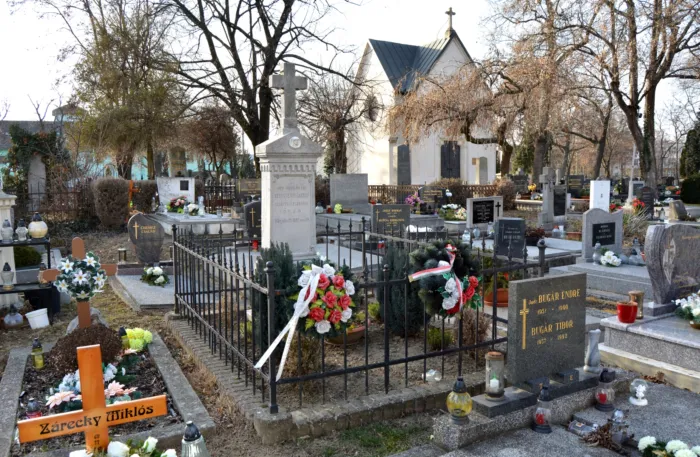 Master file0000059076