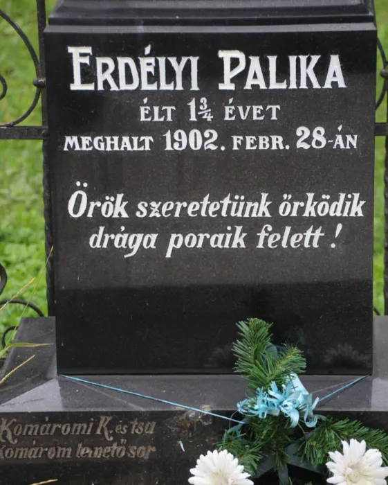 Master file0000071998