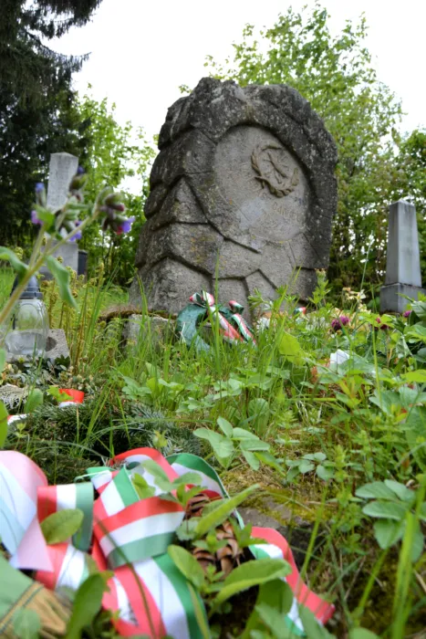 Master file0000067947