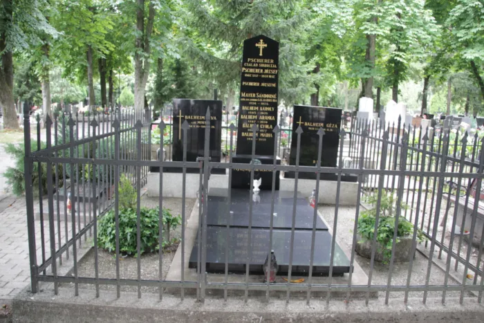 Master file0000074839