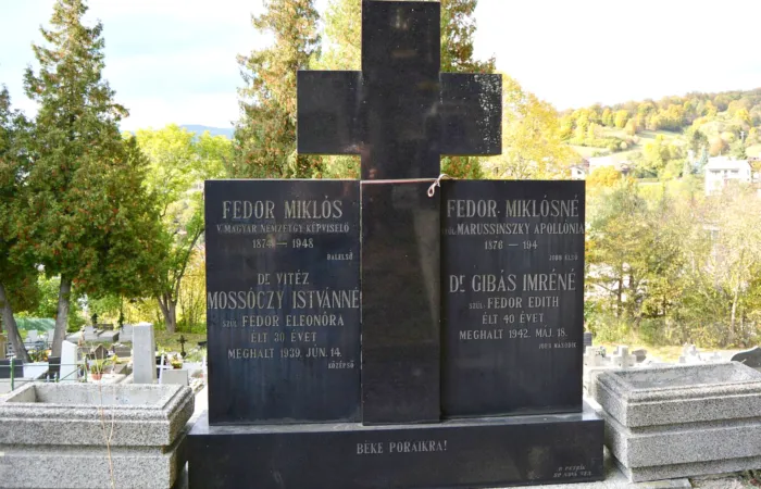 Master file0000070223