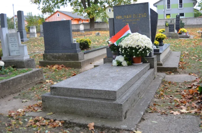 Master file0000063268