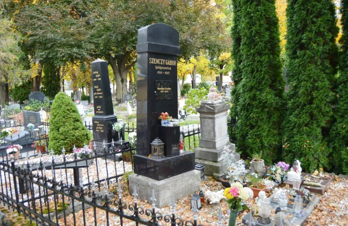 Master file0000079201