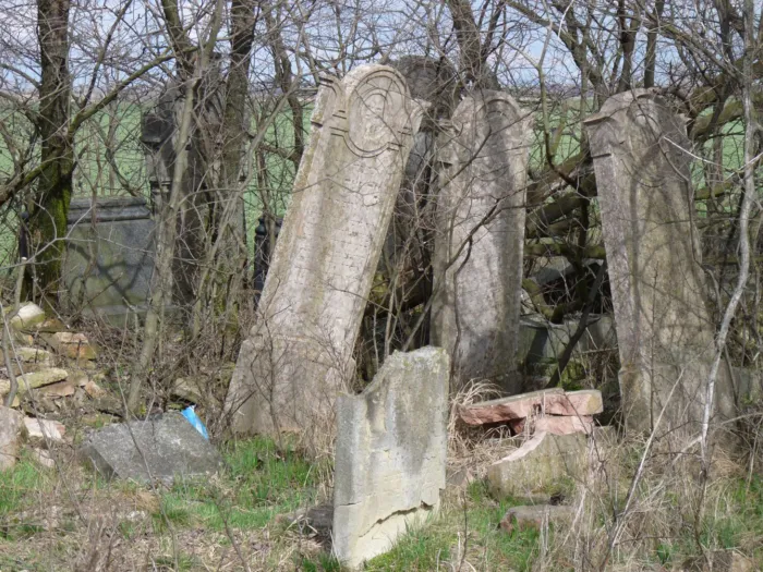 Master file0000070159