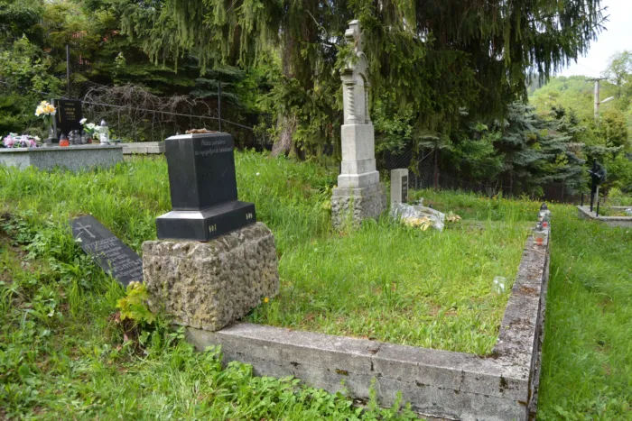 Master file0000078020