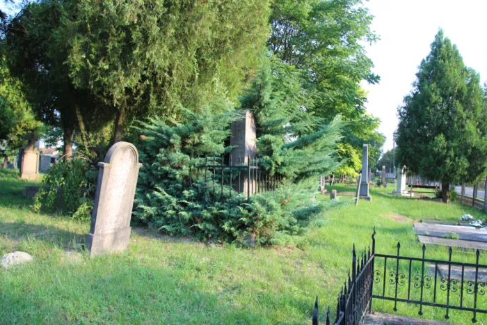 Master file0000079979