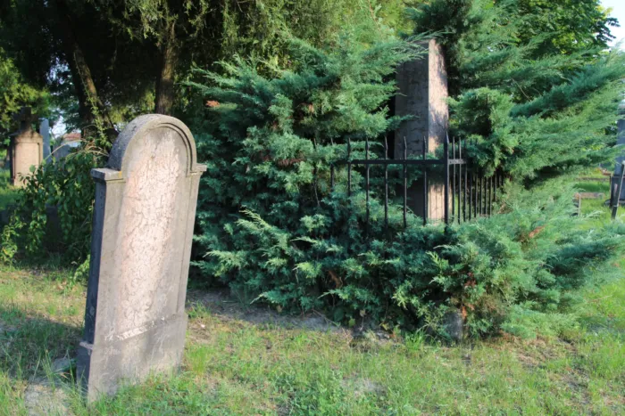 Master file0000072211