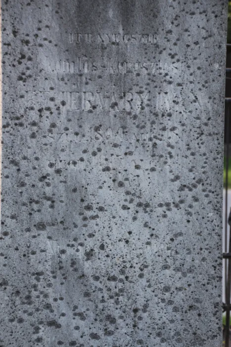 Master file0000071765