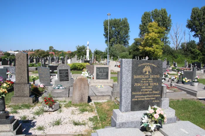 Master file0000063565