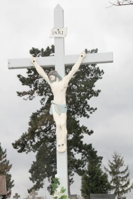 Master file0000075083