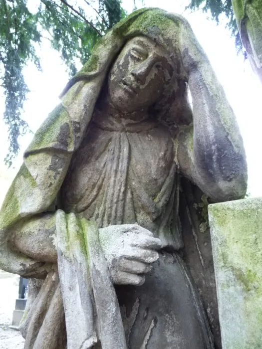 Master file0000076954