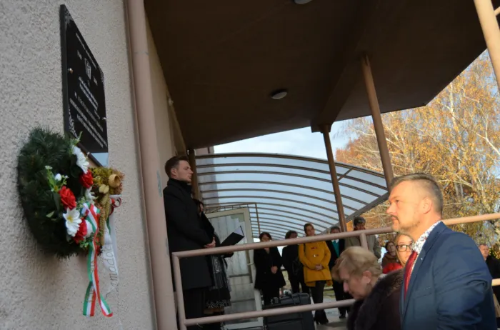 Master file0000076870