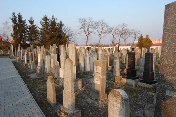 Master file0000075789