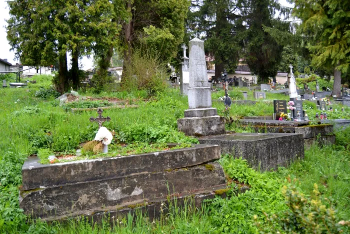 Master file0000066469