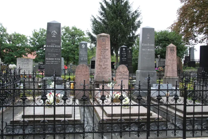 Master file0000076802