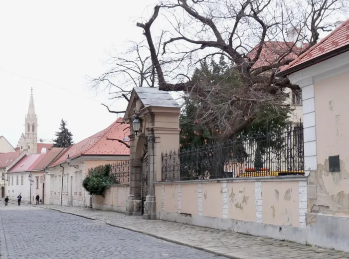 Master file0000072218