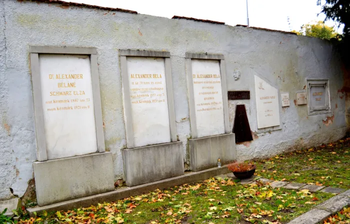 Master file0000077709