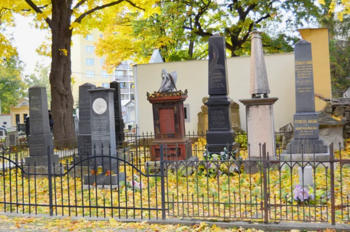 Master file0000063261