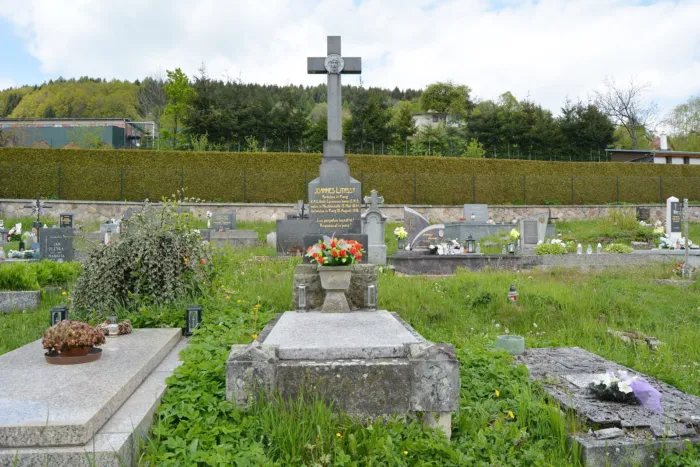 Master file0000076585