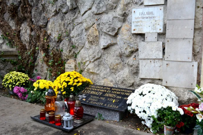 Master file0000078607