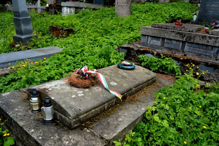 Master file0000080321