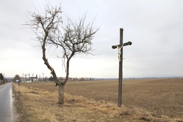 Master file0000070536