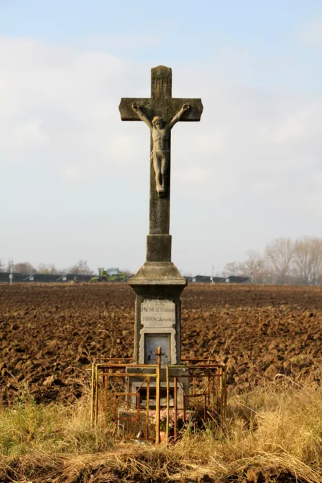 Master file0000063962