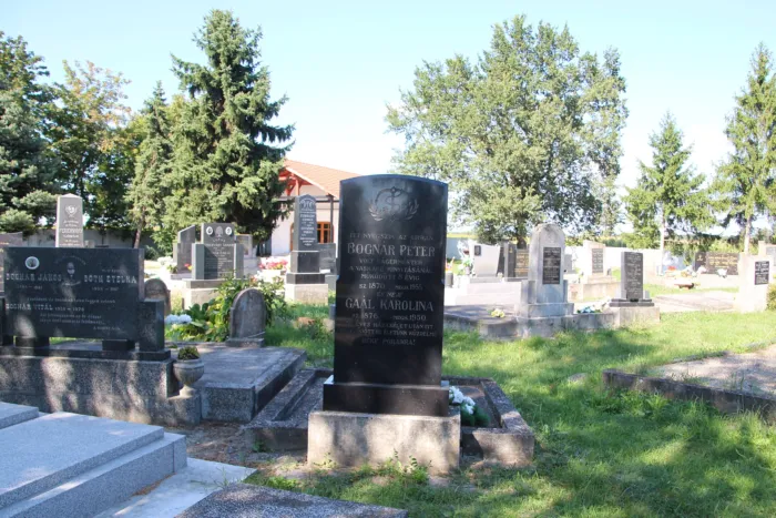 Master file0000079421